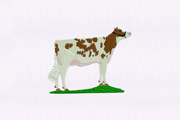 Spotted Brown Cow Design